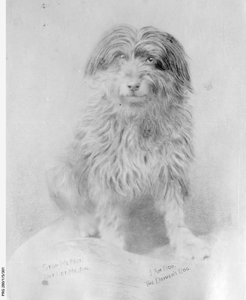 bob-the-railway-dog-sarlines-books-south-australia